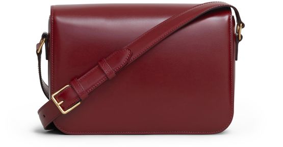Celine Medium Triomphe bag in shiny calfskin in Light Burgundy — view 3