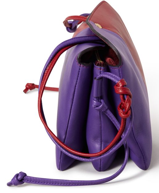 Celine Trio east west in smooth lambskin in Purple / Red — view 3