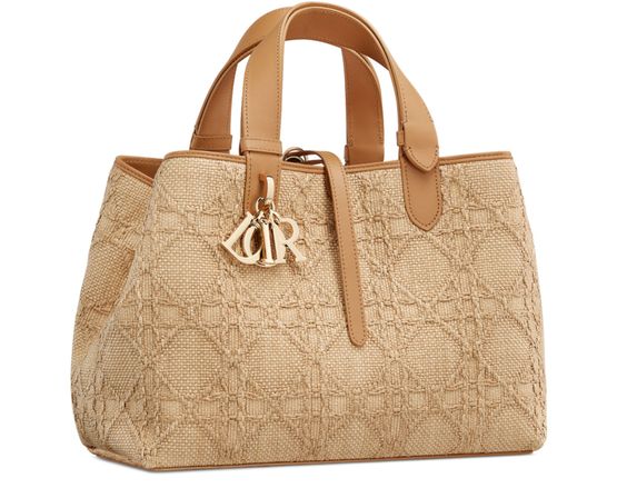 Dior Medium Dior Toujours Bag in 10I Beige Multi — view 2