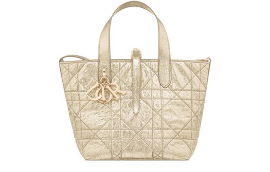 Dior Small Dior Toujours Vertical Tote Bag in 25J Platinum Or — view 1