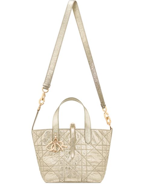 Dior Small Dior Toujours Vertical Tote Bag in 25J Platinum Or — view 4