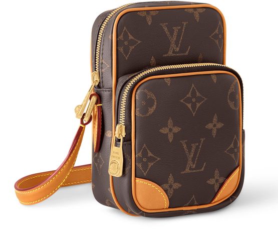 Louis Vuitton Amazone in Brown — view 2