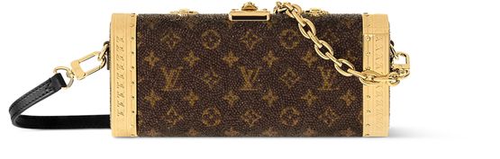 Louis Vuitton Vanity Case in Brown — view 1