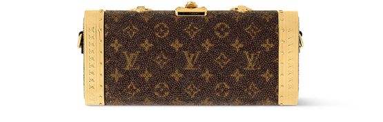 Louis Vuitton Vanity Case in Brown — view 3