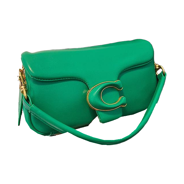 Coach Flap Shoulder Bag with C Clasp – Emerald Green