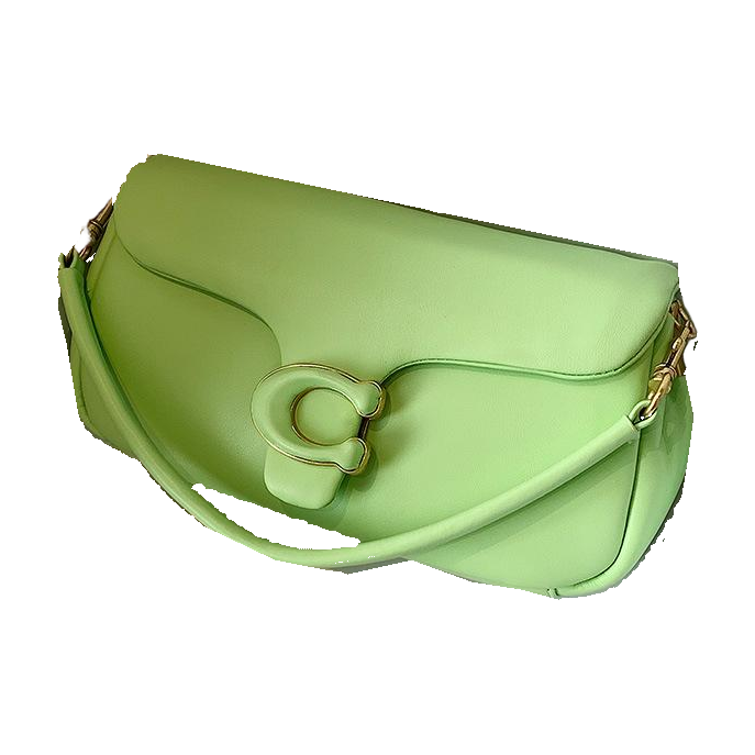 Coach Flap Shoulder Bag with C Clasp – Light Green