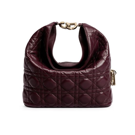 Dior Small Dior Toujours Hobo Bag — 42R Deep Amaran
