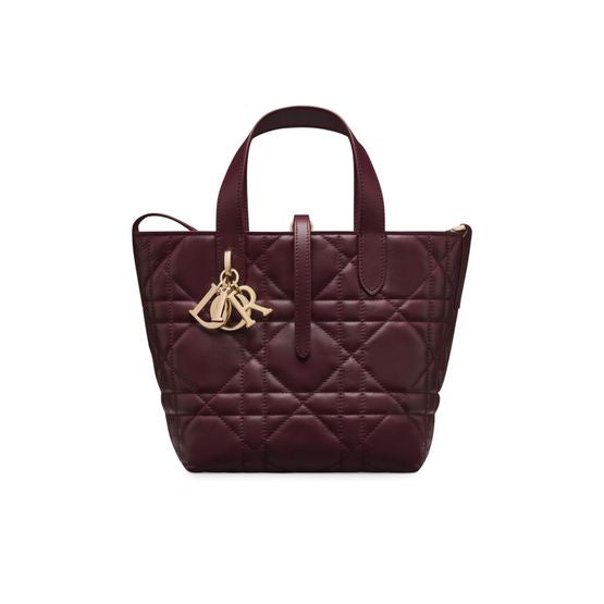 Dior Small Dior Toujours Vertical Tote Bag — 42R Deep Amaran